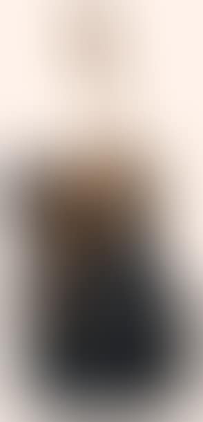 Violon Phoenix no 1 (preview)