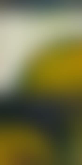 Landscape Theme and Variations (H) , (preview)