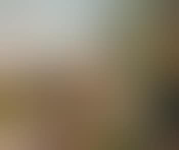 Landscape (preview)