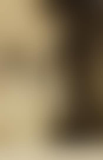 Lampshade (preview)