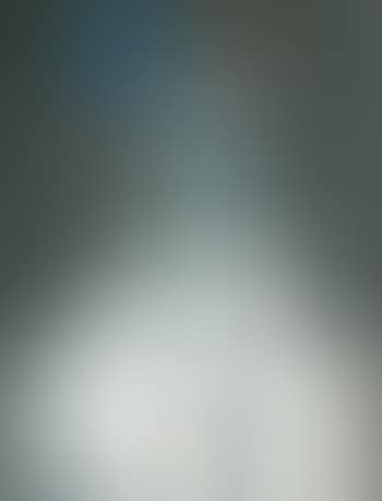 Dreamy arlequine (preview)