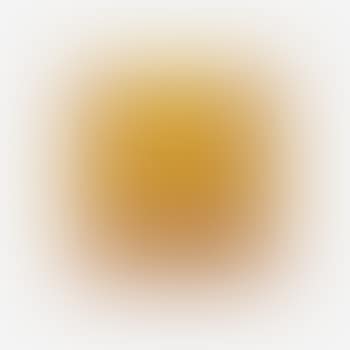 Sonne Statt Reagan (preview)