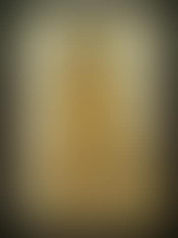 Pompeiian priest (preview)