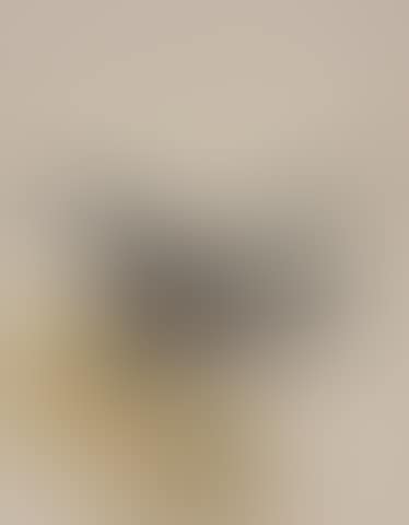Mallard in flight (preview)