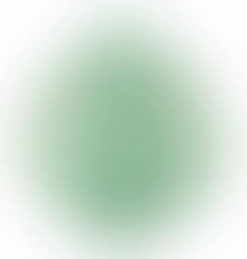 Vase (preview)