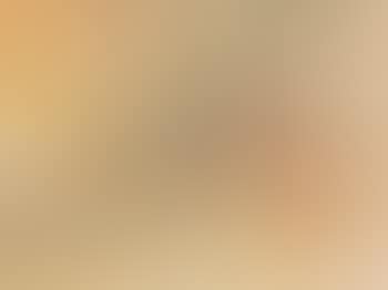 Stillleben (preview)