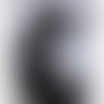 Schon wieder eine Schlange (preview)