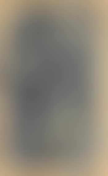 Abstract (preview)