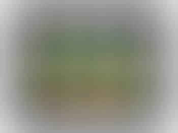 Die Häuser Hängen Unter Den Wiesen ,
1971 (preview)