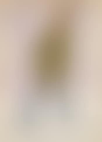 Hermann Scherrer (preview)