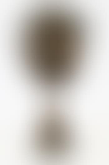 Autoportrait (preview)