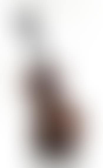 Violon coupé IV (preview)