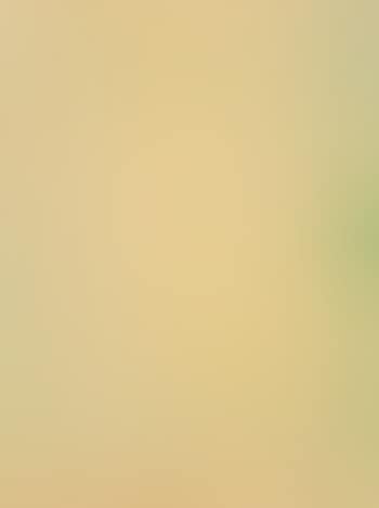 Graphite Suite I (Yellow/Green with Flesh) (preview)