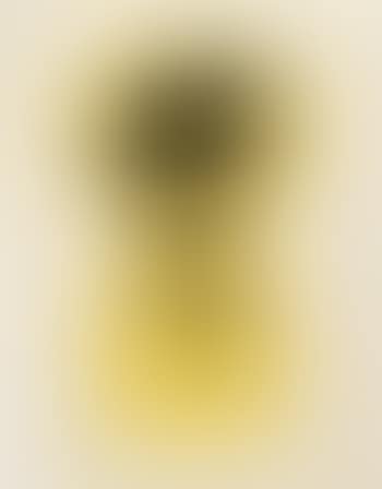 Soleil recerclé (Couverture I) ,
1966 (preview)