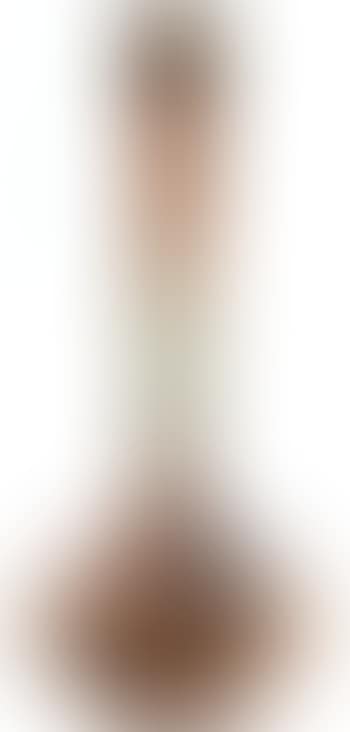 Vase bulbe à long col , (preview)