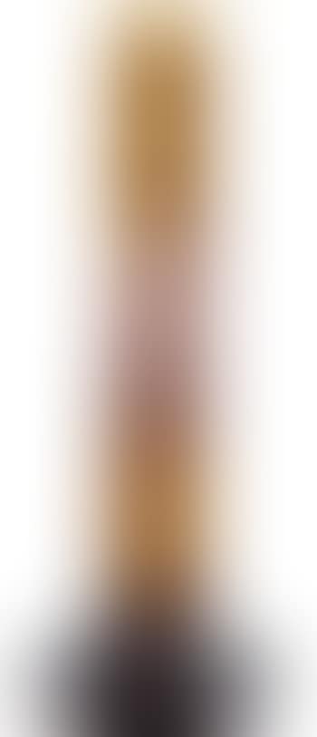 Vase à long col , (preview)