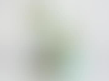 [Untitled] , (preview)