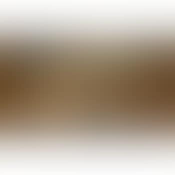 [Untitled] (preview)