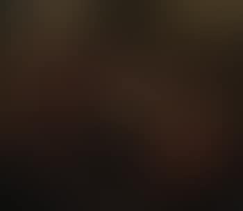The Adoration of the Magi , (preview)