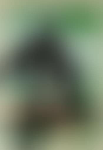 Abstract Composition (preview)