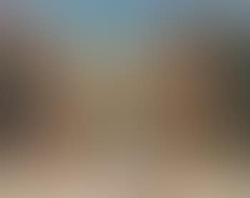 Still life (preview)