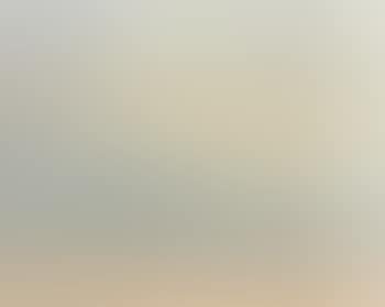 Windy weather at the beach (preview)
