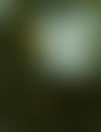 Stress test (preview)