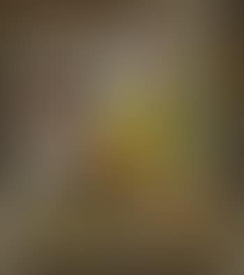 Nature morte au pot jaune (preview)