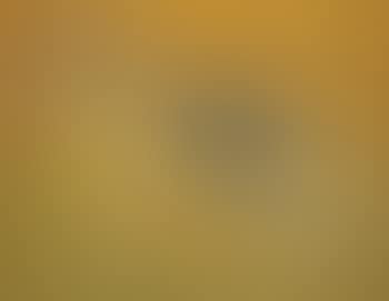 German shepherd (preview)