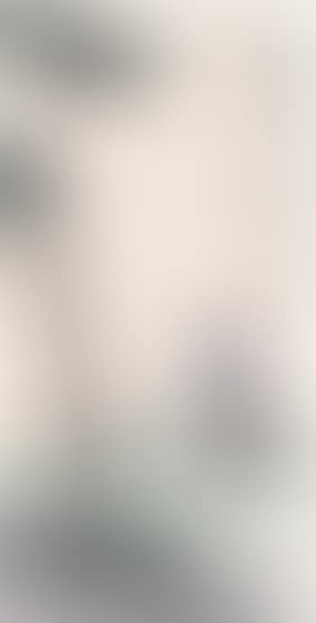 [Untitled] (preview)