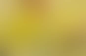 Ohne Titel (preview)