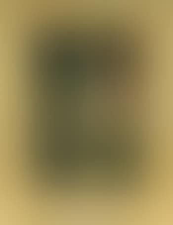 Figure seated next to woodland pool (preview)