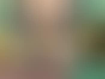 Still life (preview)