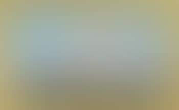 Portrait of the schooner 'Adelaide Barbour' (preview)