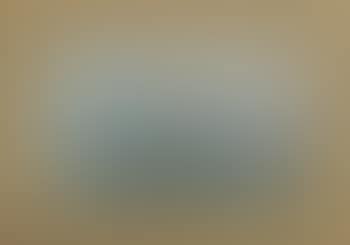 Ship portrait of the 'Isaac Webb' (preview)