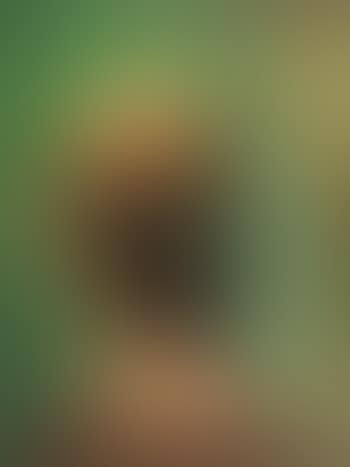 Bald Native Head (preview)