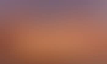 Evening Embers and Flowers (preview)