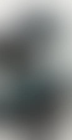 Hermit (preview)