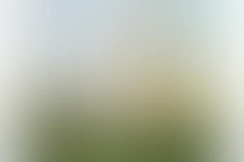 Landscape with figures (preview)