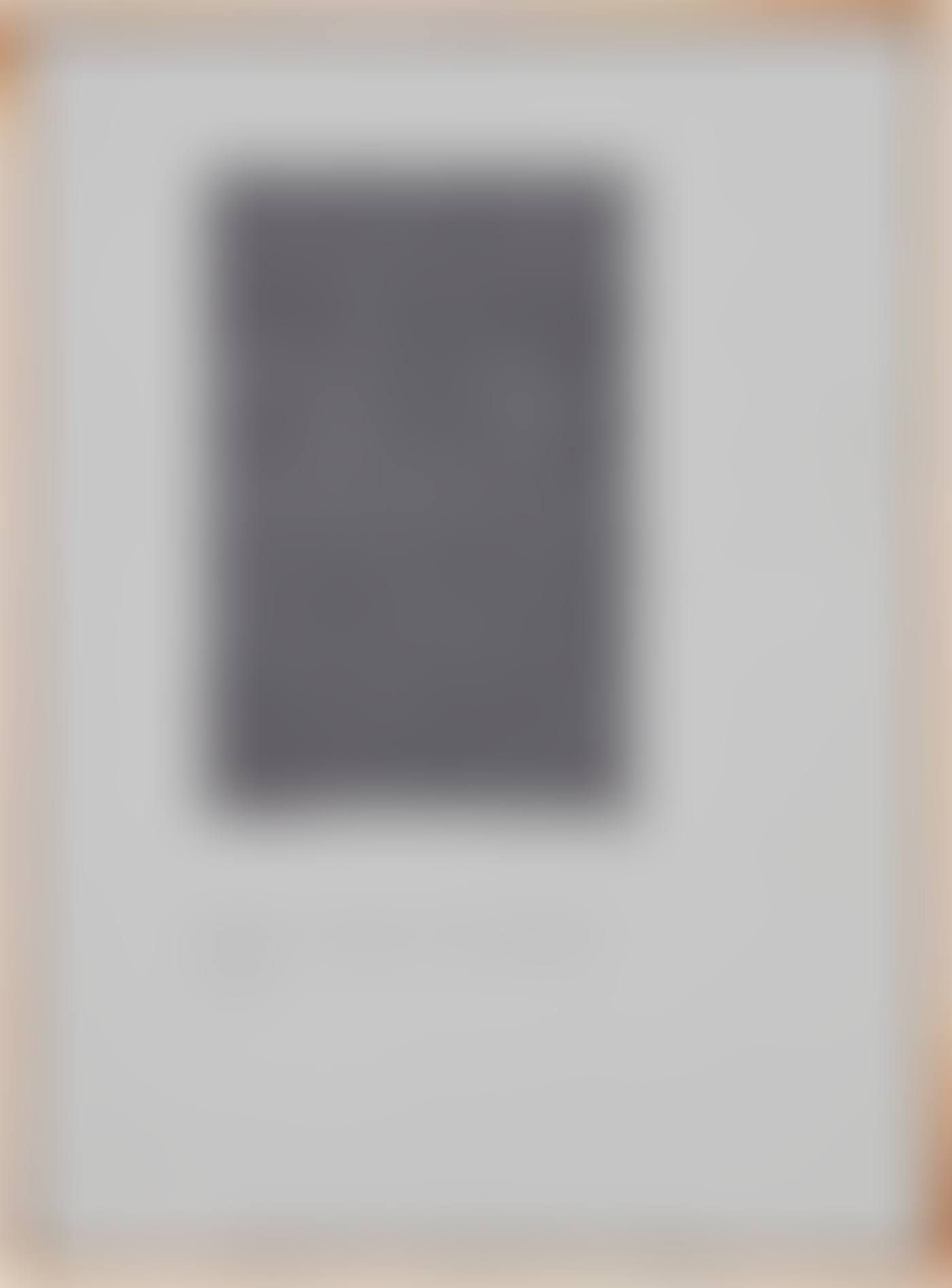 Jasper Johns, "Tennyson" (preview)
