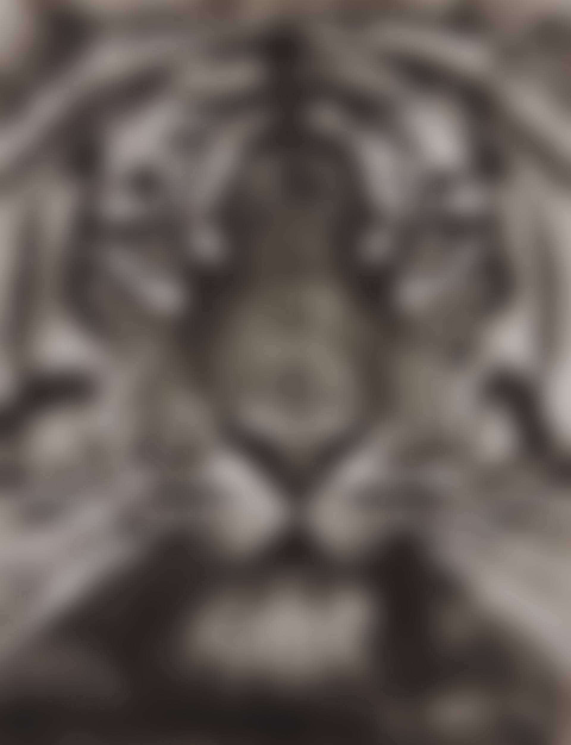 Study of Tiger Head 18 (preview)