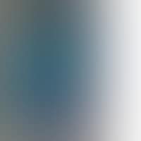 IDIR-2 (preview)