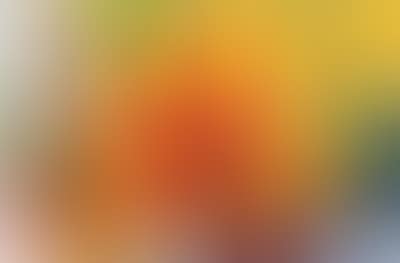 “The Extra Tropical Troposphere” (preview)