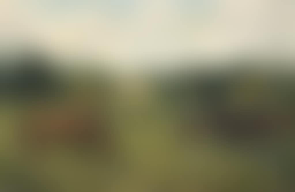 Biddlesden Park Stud (preview)