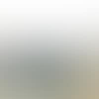 Landscape of Nyon (preview)