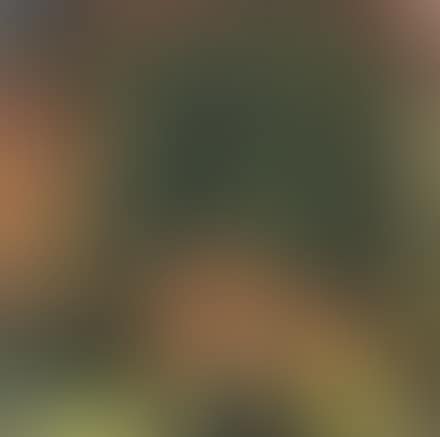 Velate (preview)