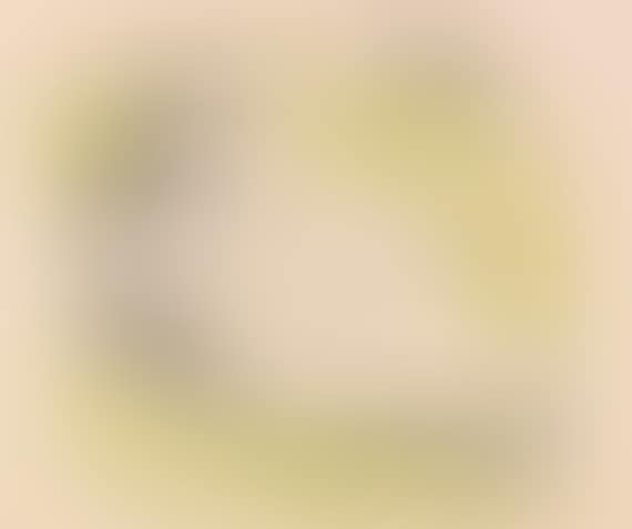 Sich sonnende Badende (preview)