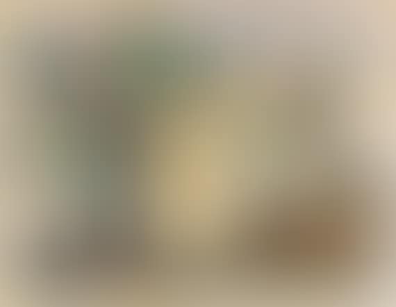 Letzte Instanz (preview)
