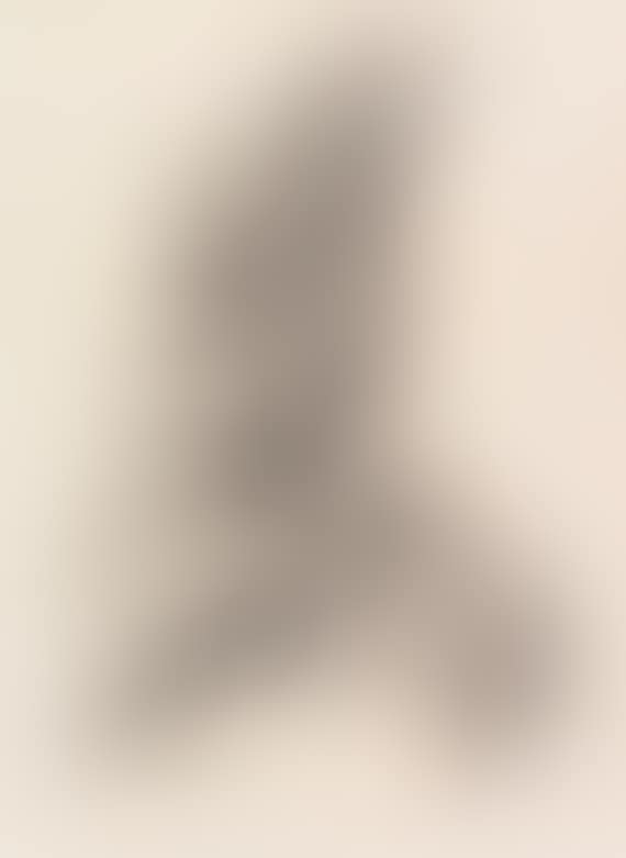 Textilstudie (preview)