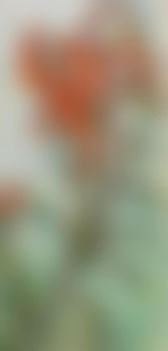 Blumenstillleben (preview)